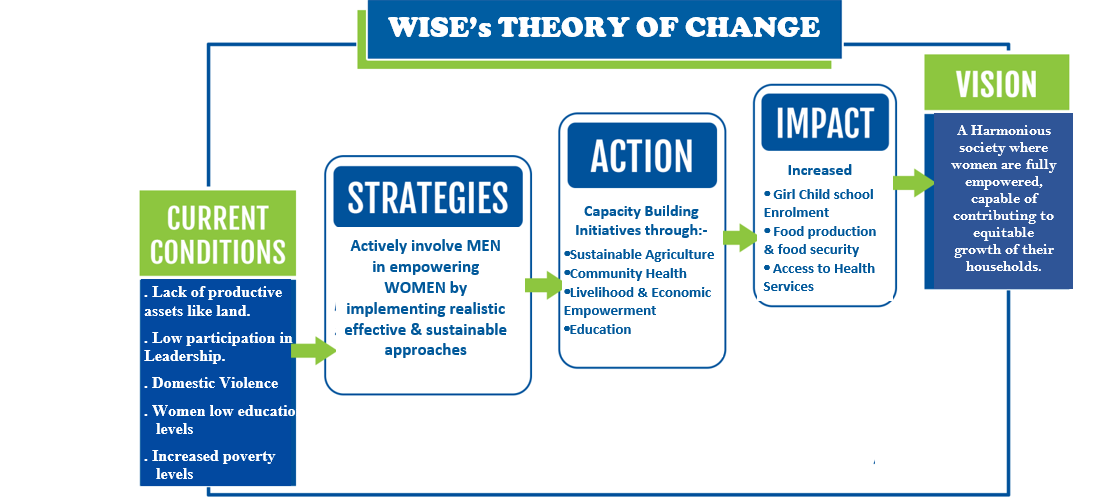 WISE's THEORY OF CHANGE